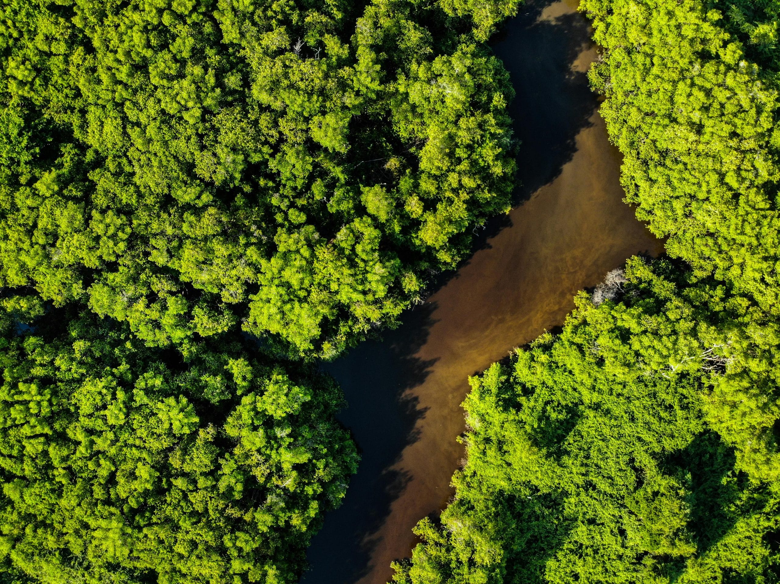 Live positions and coverage of COP 30 Summit 2025- Belem, Brazil