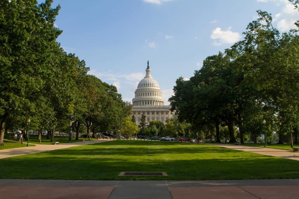 DC baby